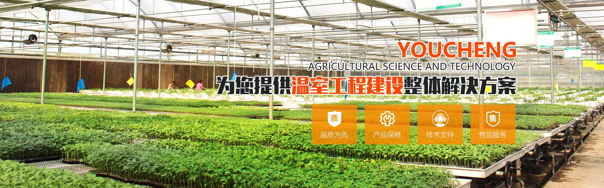 钢结构温室橙子视频在线入口观看