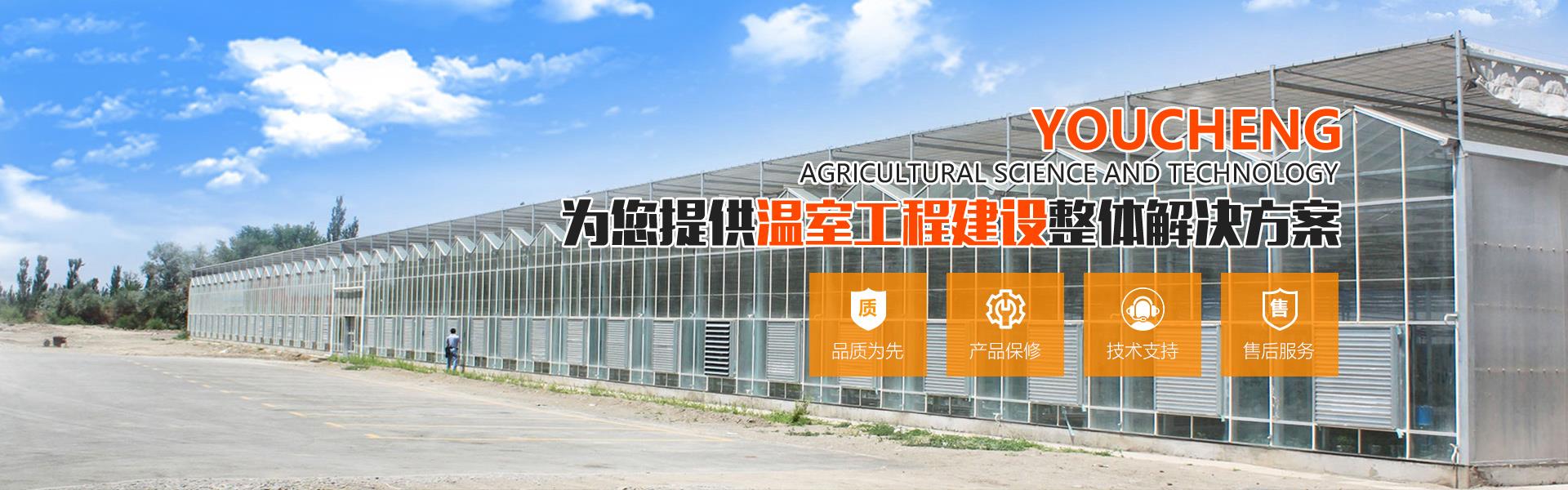 薄膜温室橙子视频在线入口观看